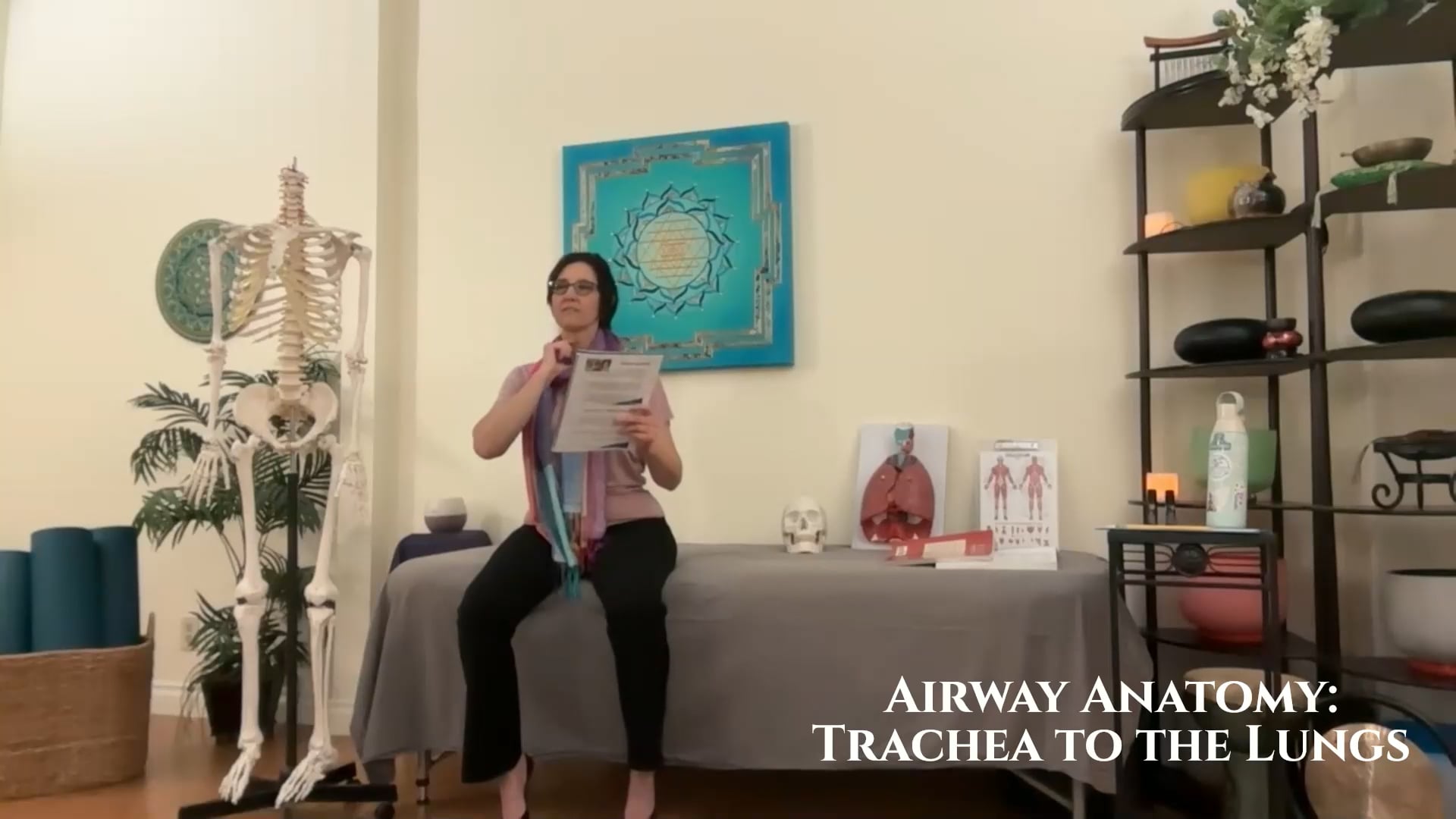 Airway Anatomy: Trachea to the Lungs