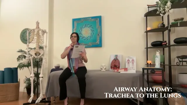 Airway Anatomy: Trachea to the Lungs