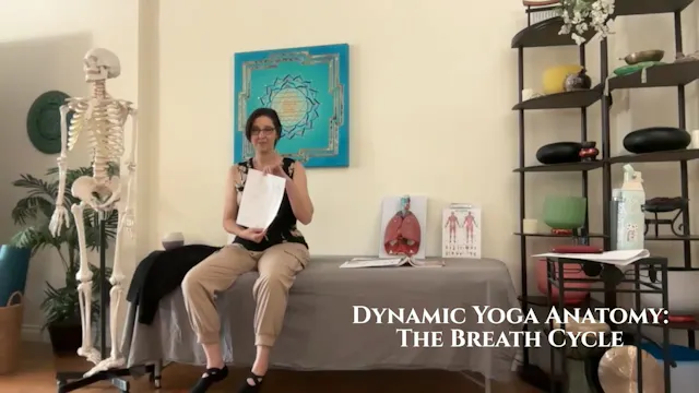 Dynamic Yoga Anatomy: The Breath Cycle, Part 2