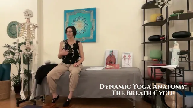 Dynamic Yoga Anatomy: The Breath Cycle, Part 1