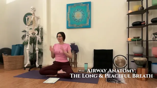 Airway Anatomy: The Long and Peaceful...