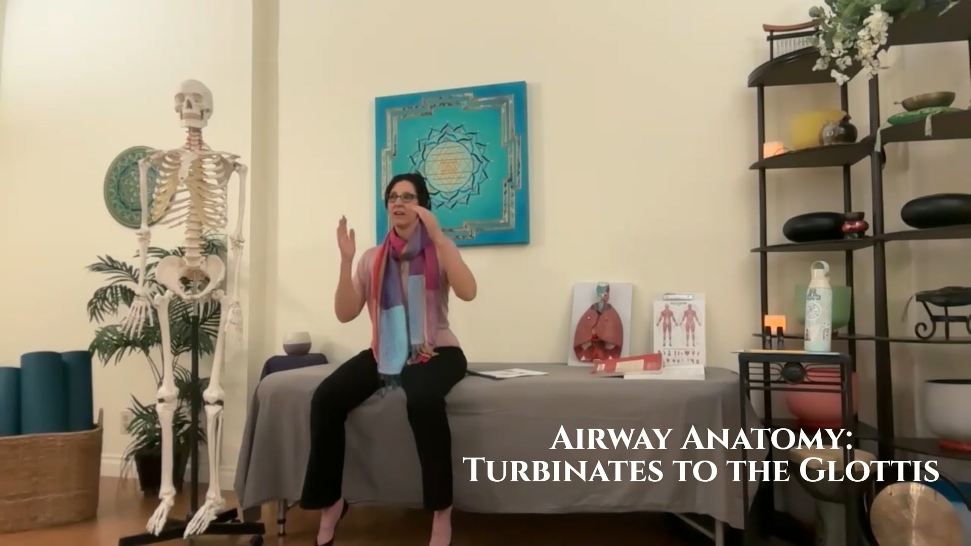 Airway Anatomy: Turbinates to the Glottis
