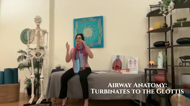 Airway Anatomy: Turbinates to the Glo...