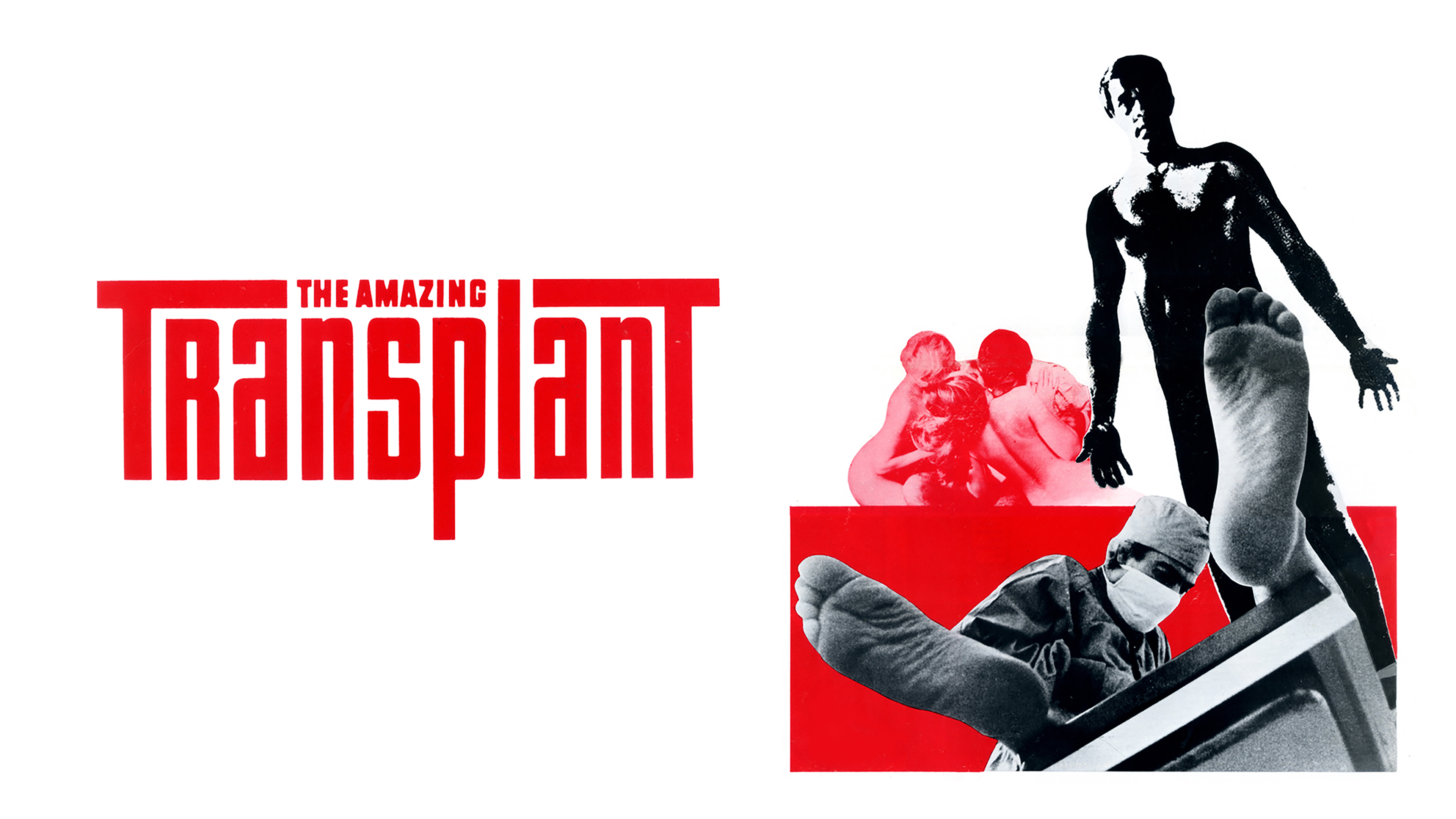 The Amazing Transplant