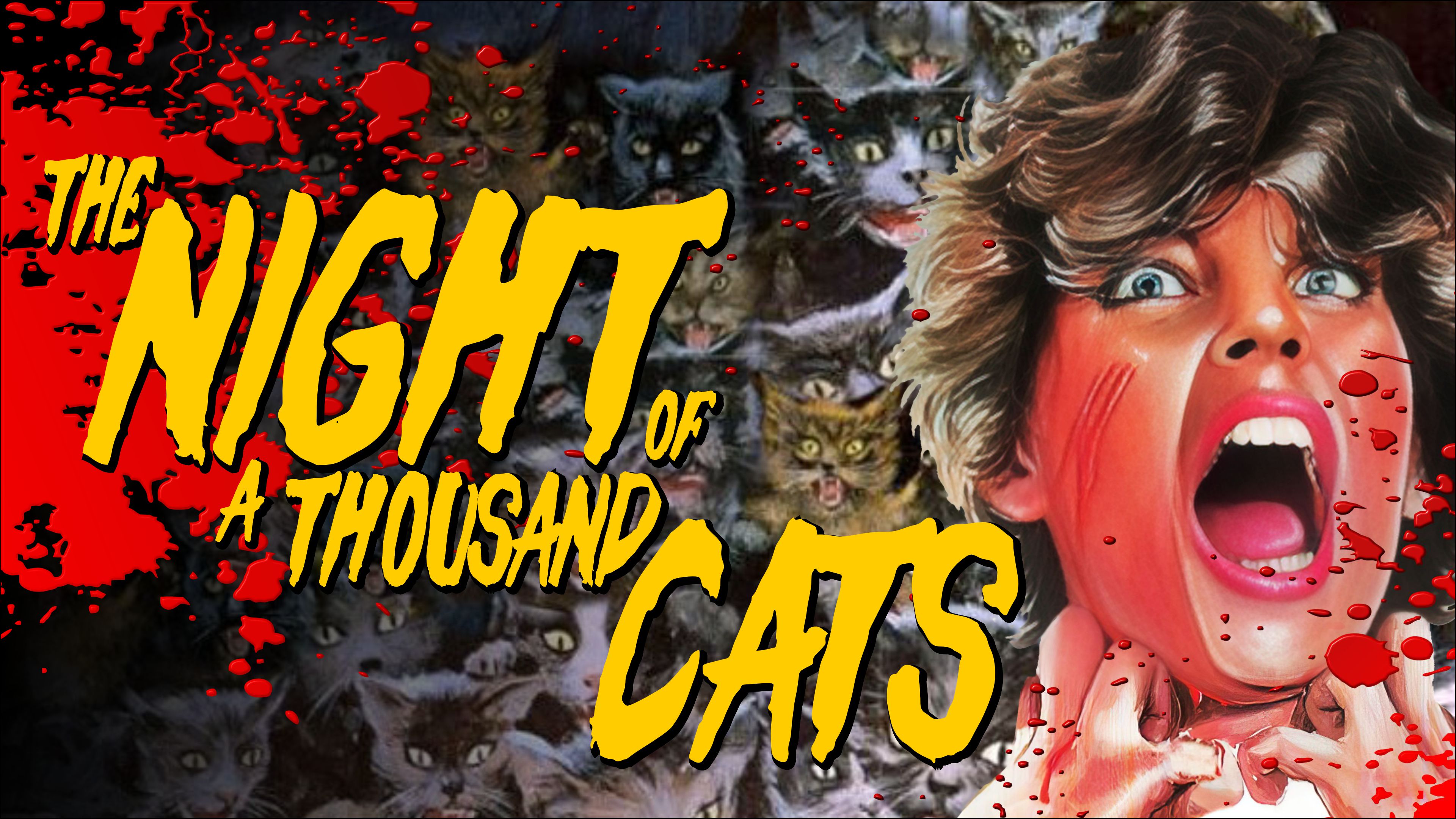 The Night Of A Thousand Cats