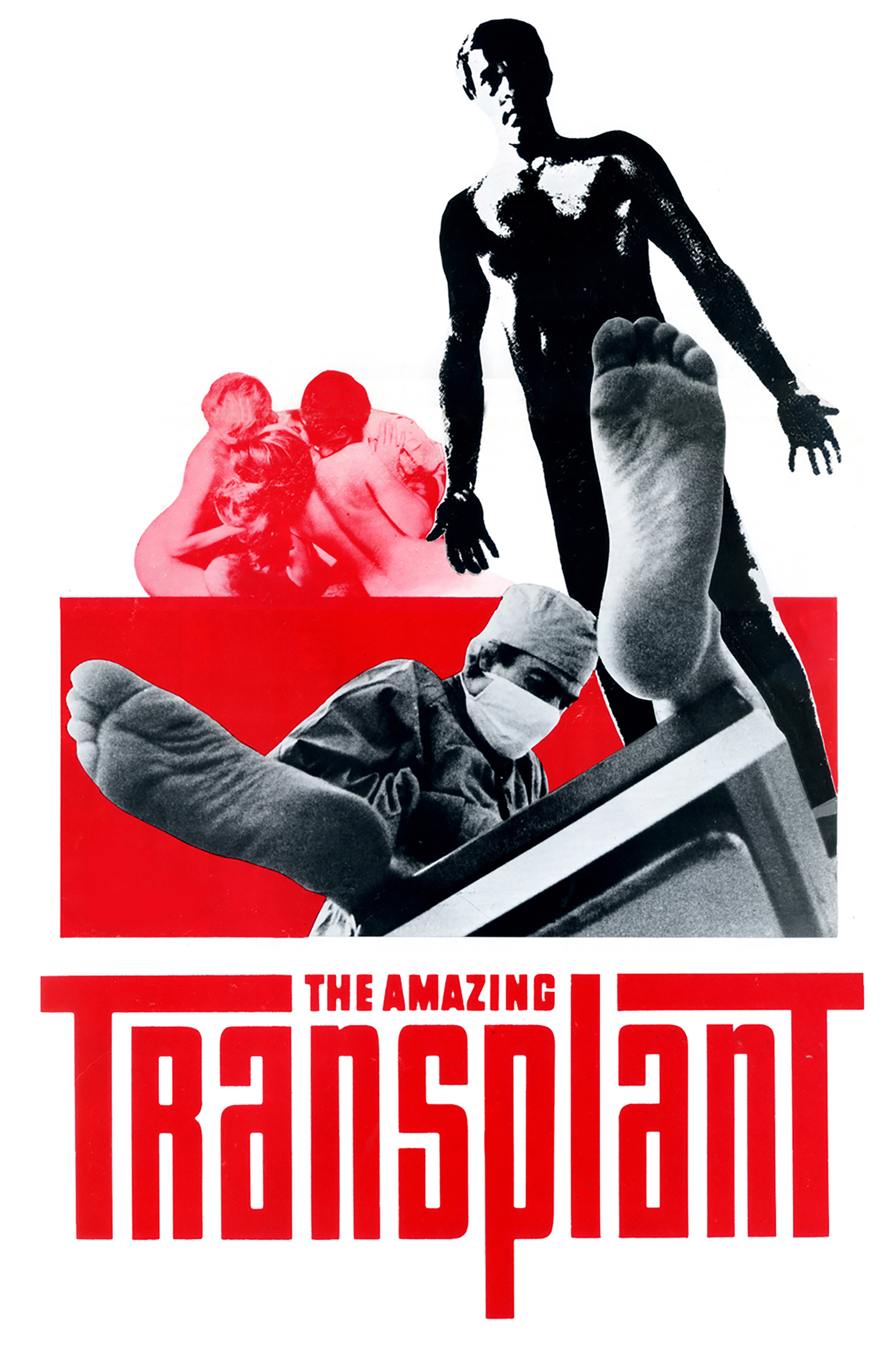 The Amazing Transplant