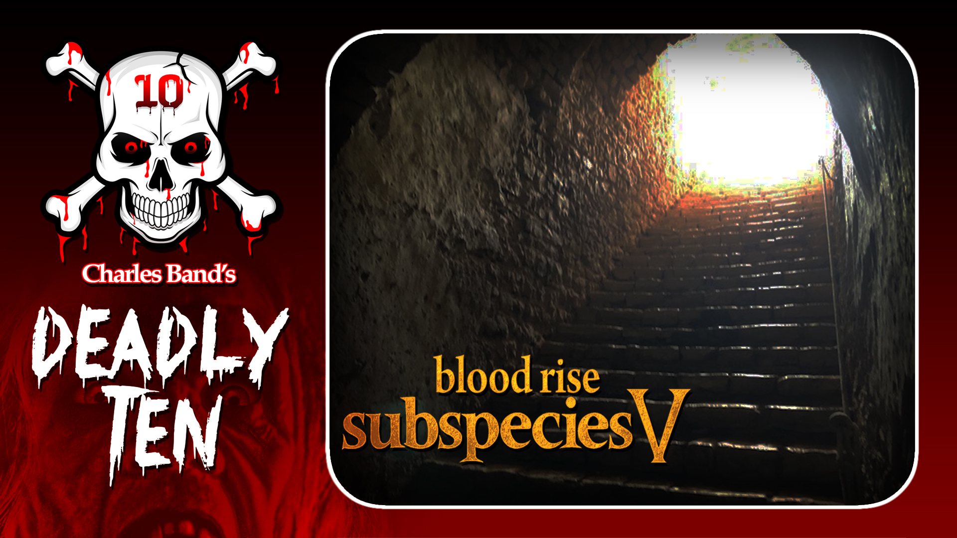 D10: Subspecies V: Location Scout