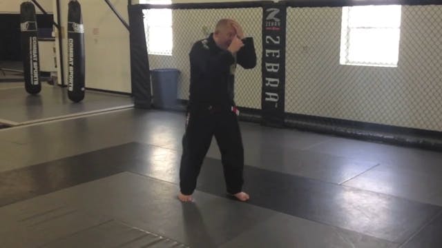 Fighting Stance And Footwork