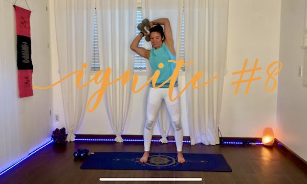 Ignite #8