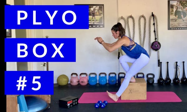 Plyo Box #5