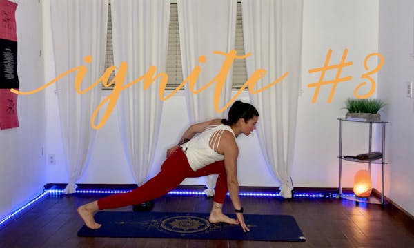 Ignite #3