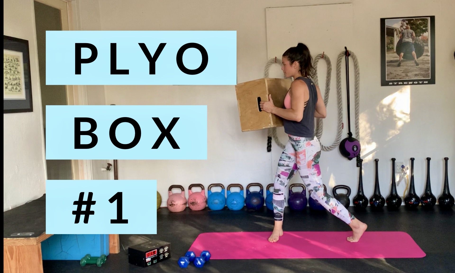 Plyo Box #1