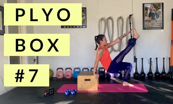 Plyo Box #7