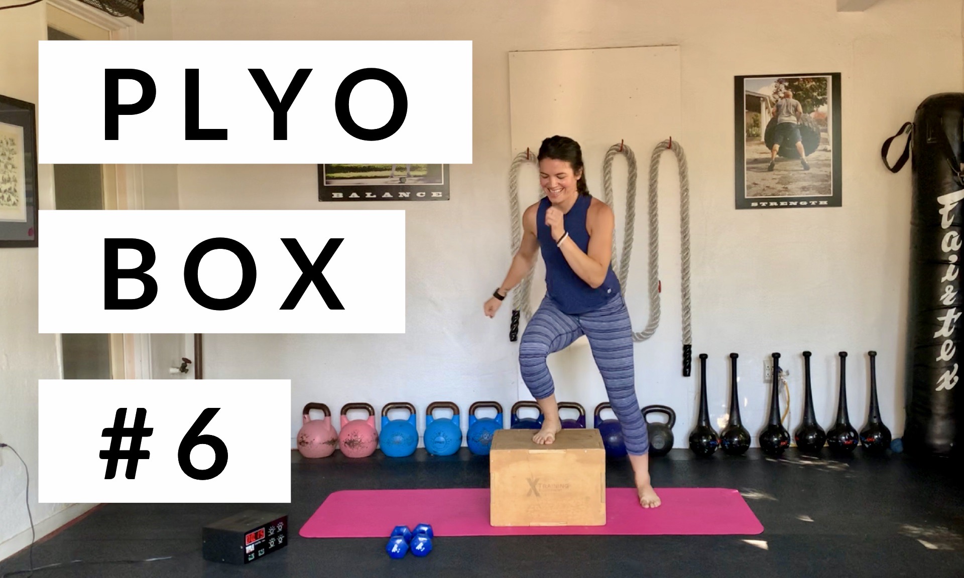 Plyo Box #6