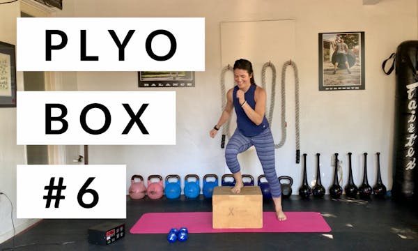 Plyo Box #6