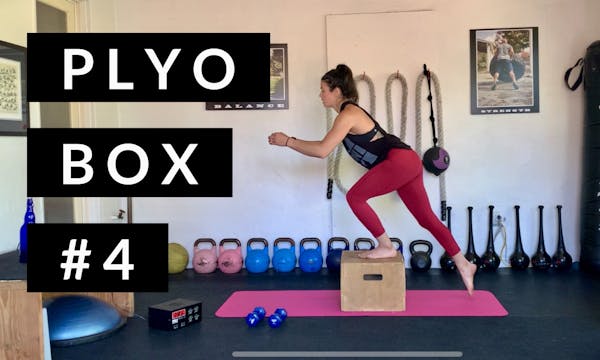 Plyo Box #4