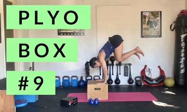 Plyo Box #9