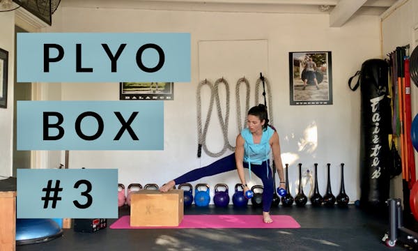 Plyo Box #3