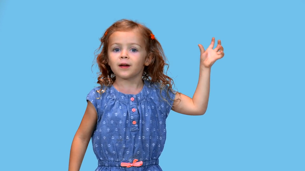 The Finger Family Song