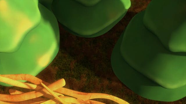 Twinkle Twinkle Little Star