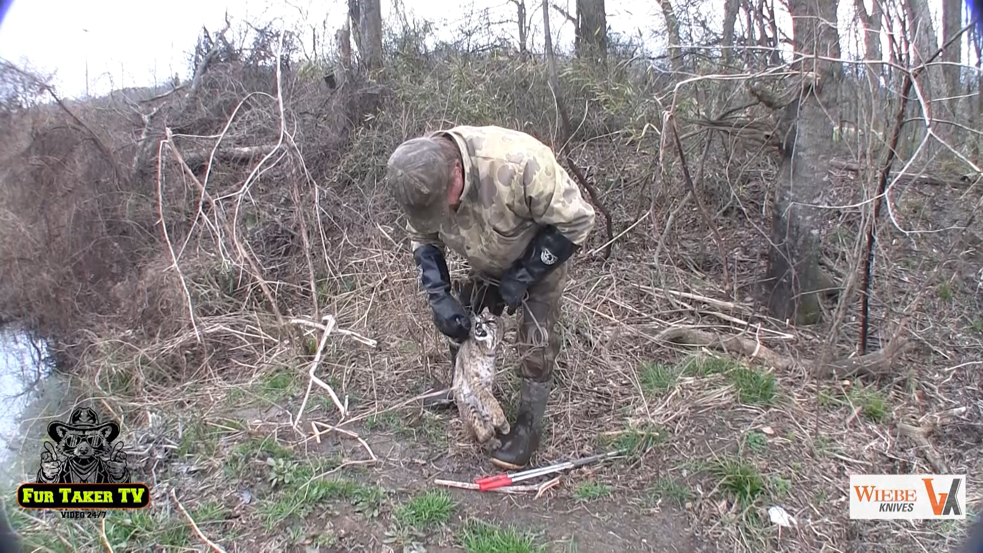 103 Bobcat in otter set. Red O'Hearn