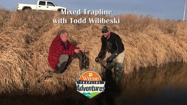 Trailer-A Mixed Bag Trapline with Todd Wilibeski