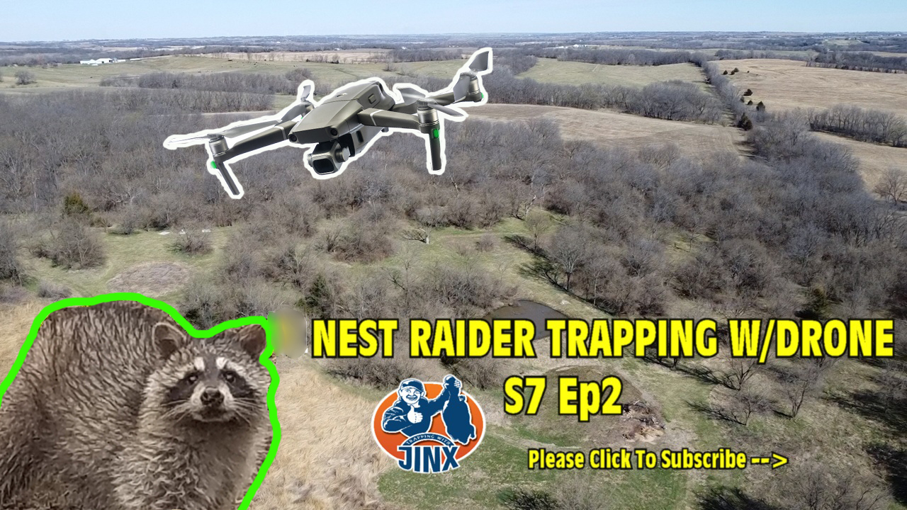 ADC NEST RAIDER TRAPPING W/DRONE | S7 Ep2