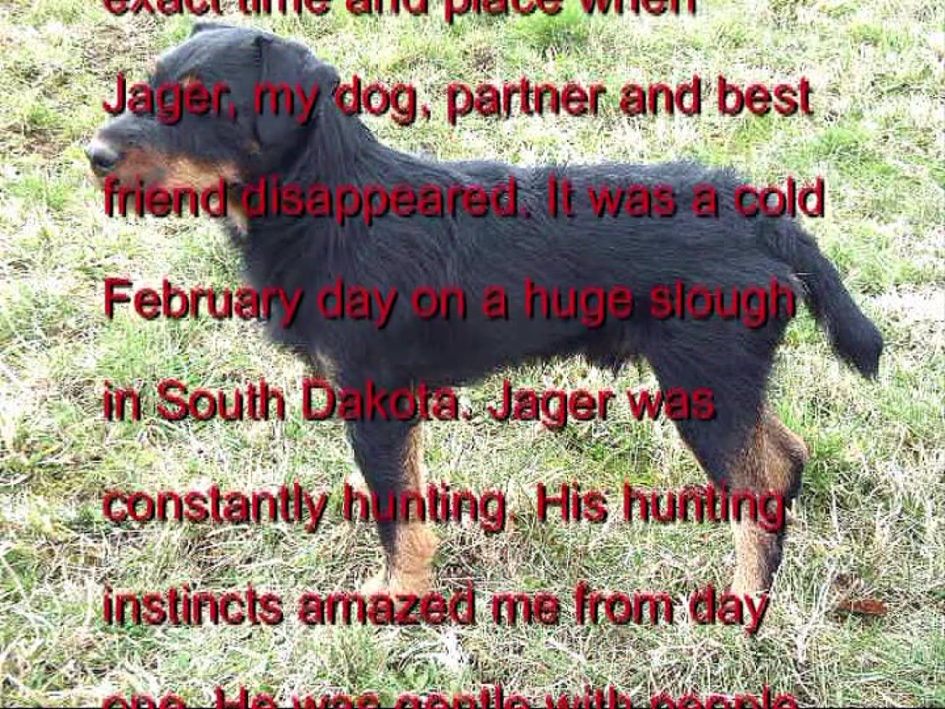 Trapping Muskrats By The 1000s_RichKaspar