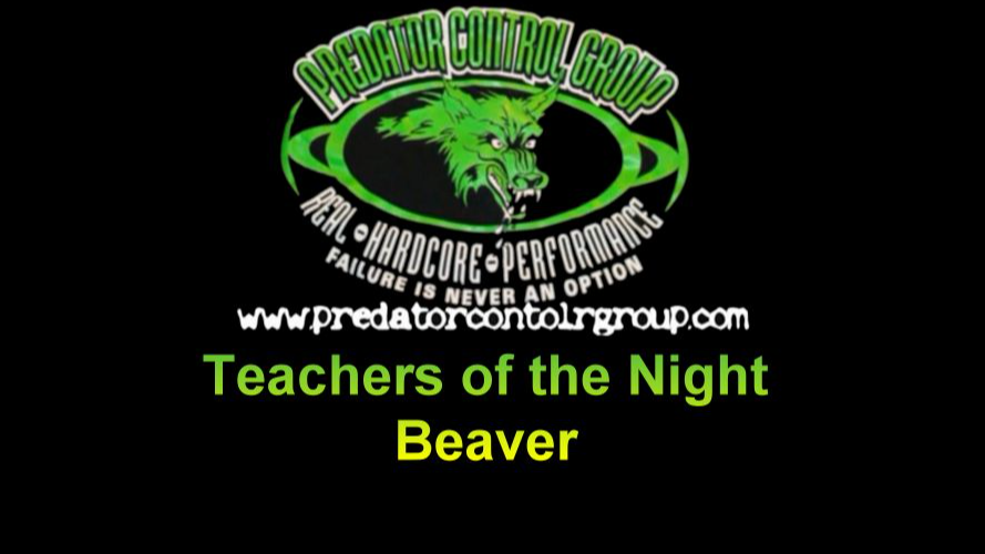 Teachers of the Night - Beaver