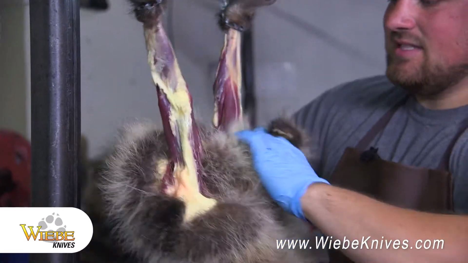 Trailer - Caleb from Wiebe Knives Skinning Coon