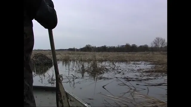 5 Rich Kaspar hut trapping