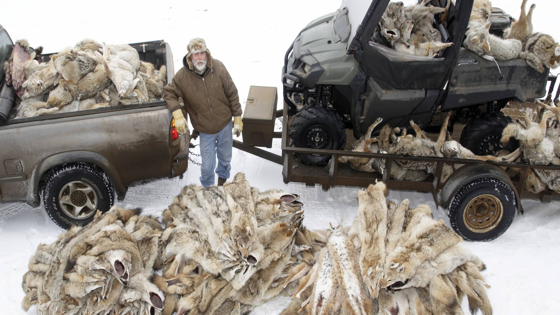 Full Length Trapping Videos