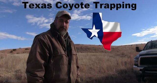 Trailer-Texas Coyote Trapping
