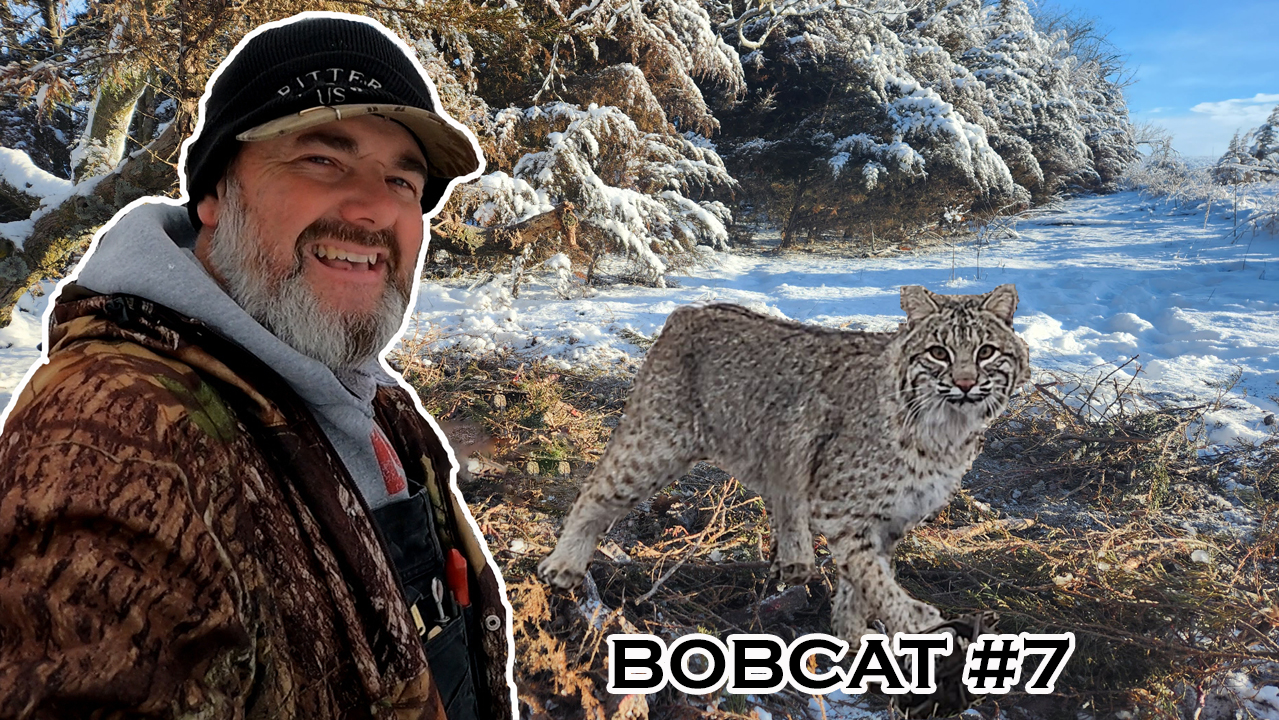My GREATEST WINTER TRAPPING SECRETS! Bobcat #7 Coyotes 56-59 | S5 Ep 16