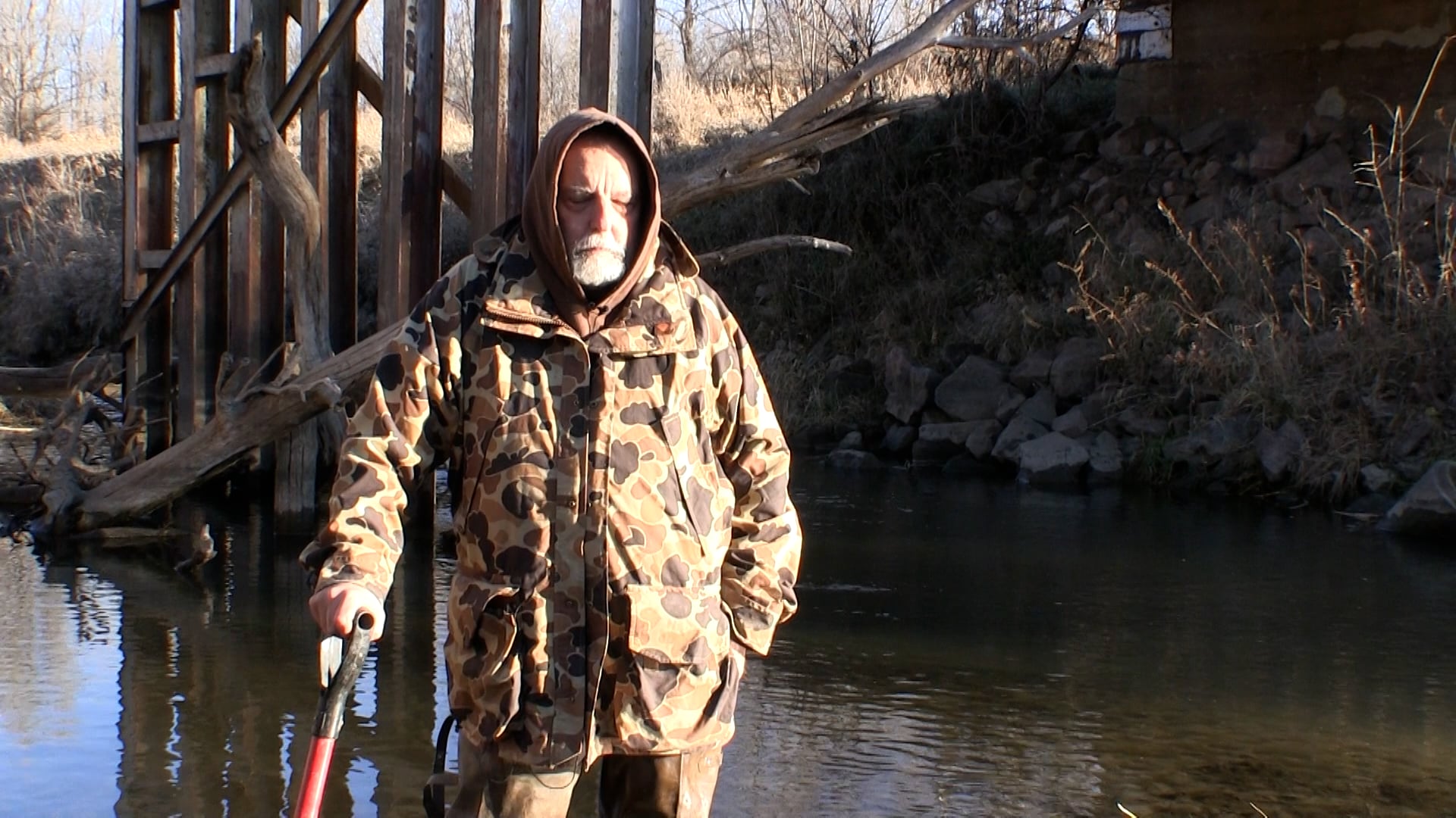 A Cold Case on the Mink Line