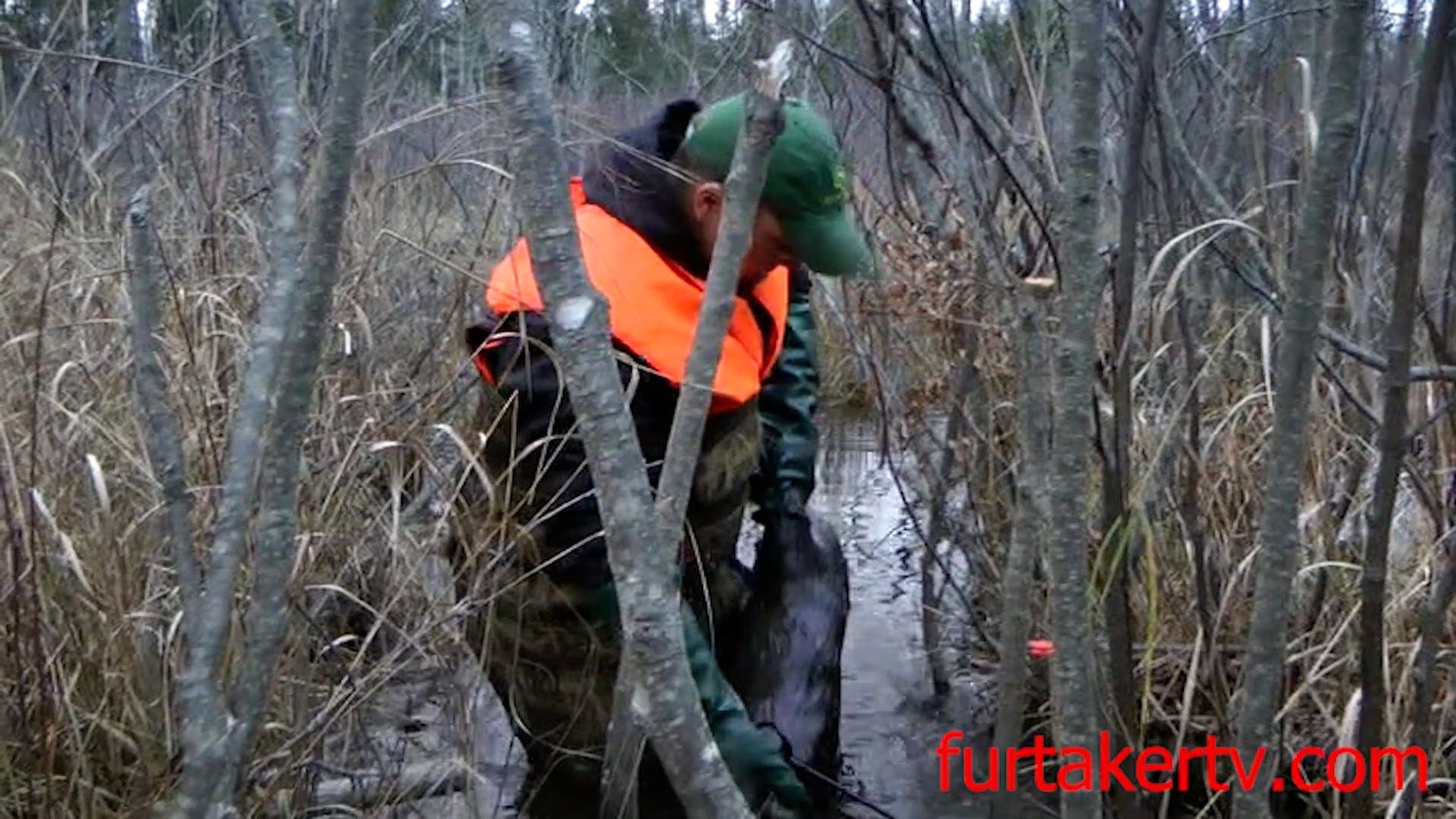 A Maine Trapline with the Donaghy's 