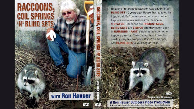 Raccoons Coil Springs N Blind Sets Ro...