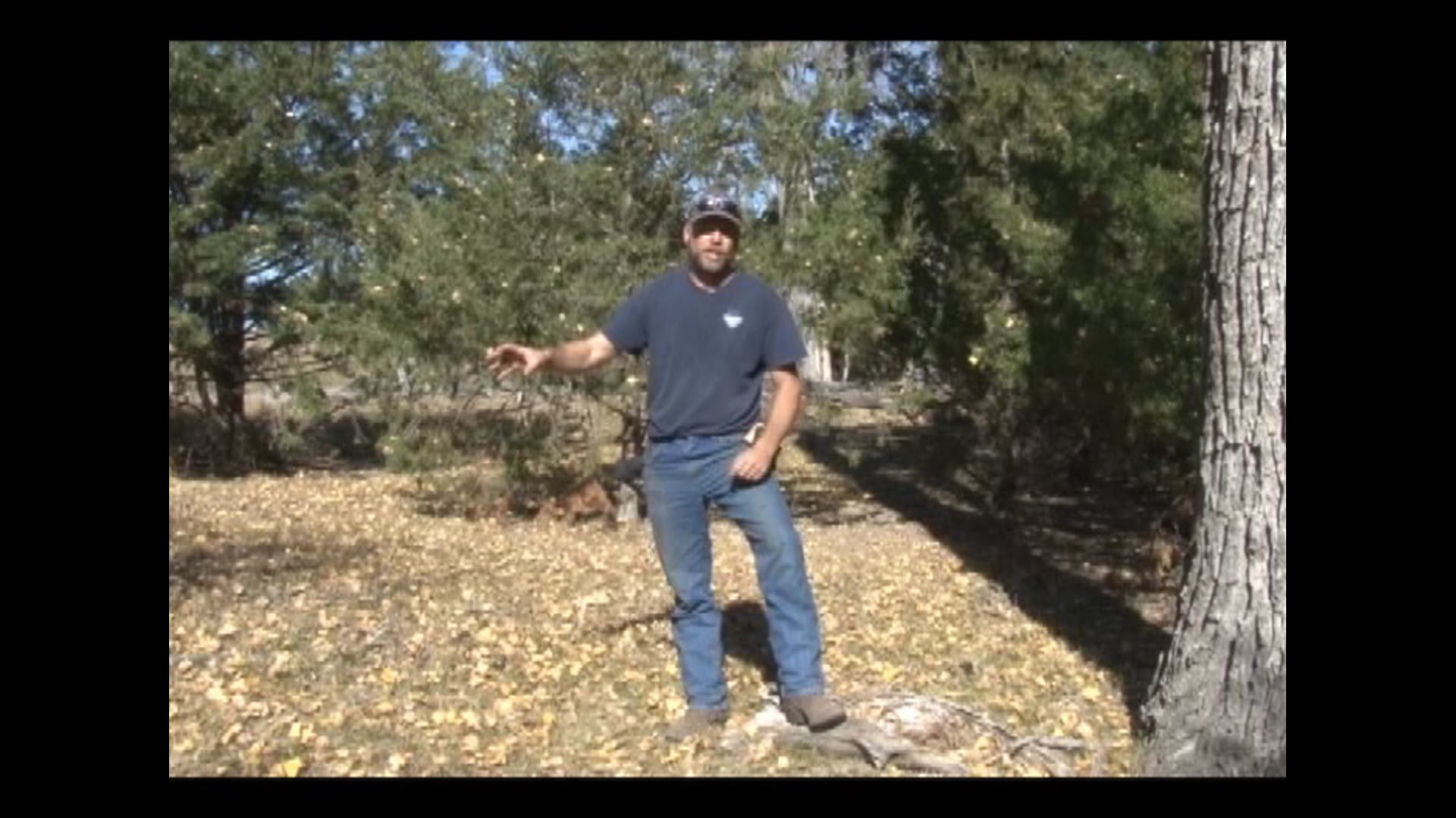 On The Trapline With Lesel Reuwsaat Advanced Professional Coyote Methods