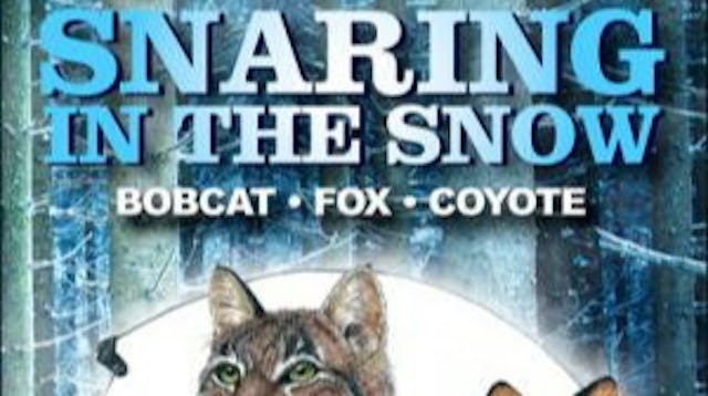 Snaring-In-The-Snow ~ by Bernie Barri...