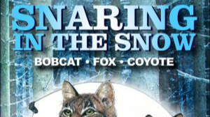 Trailer - Snaring-In-The-Snow ~ by Bernie Barringer and Rick Hines