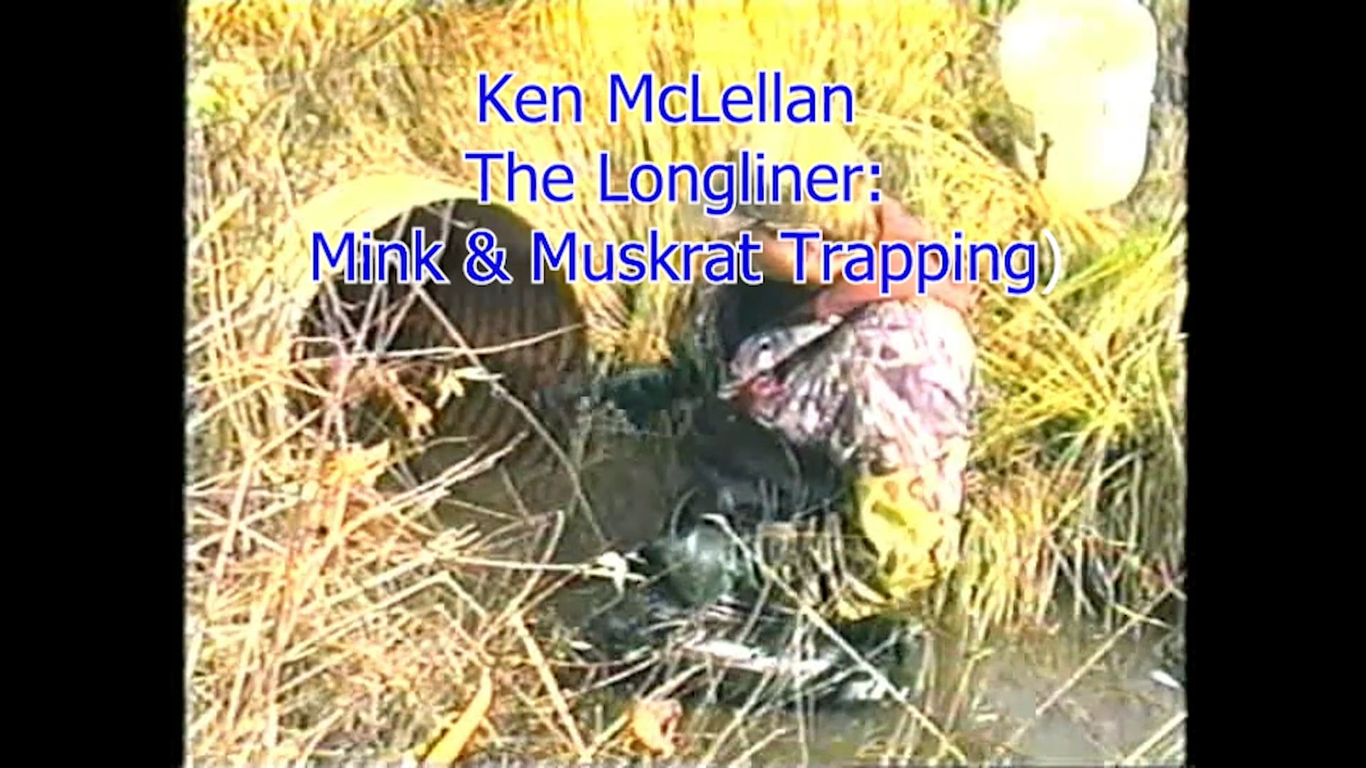 Culvert set for Mink with Ken McLellan