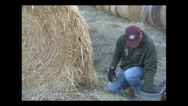 On The Trapline With Lesel Reuwsaat S...