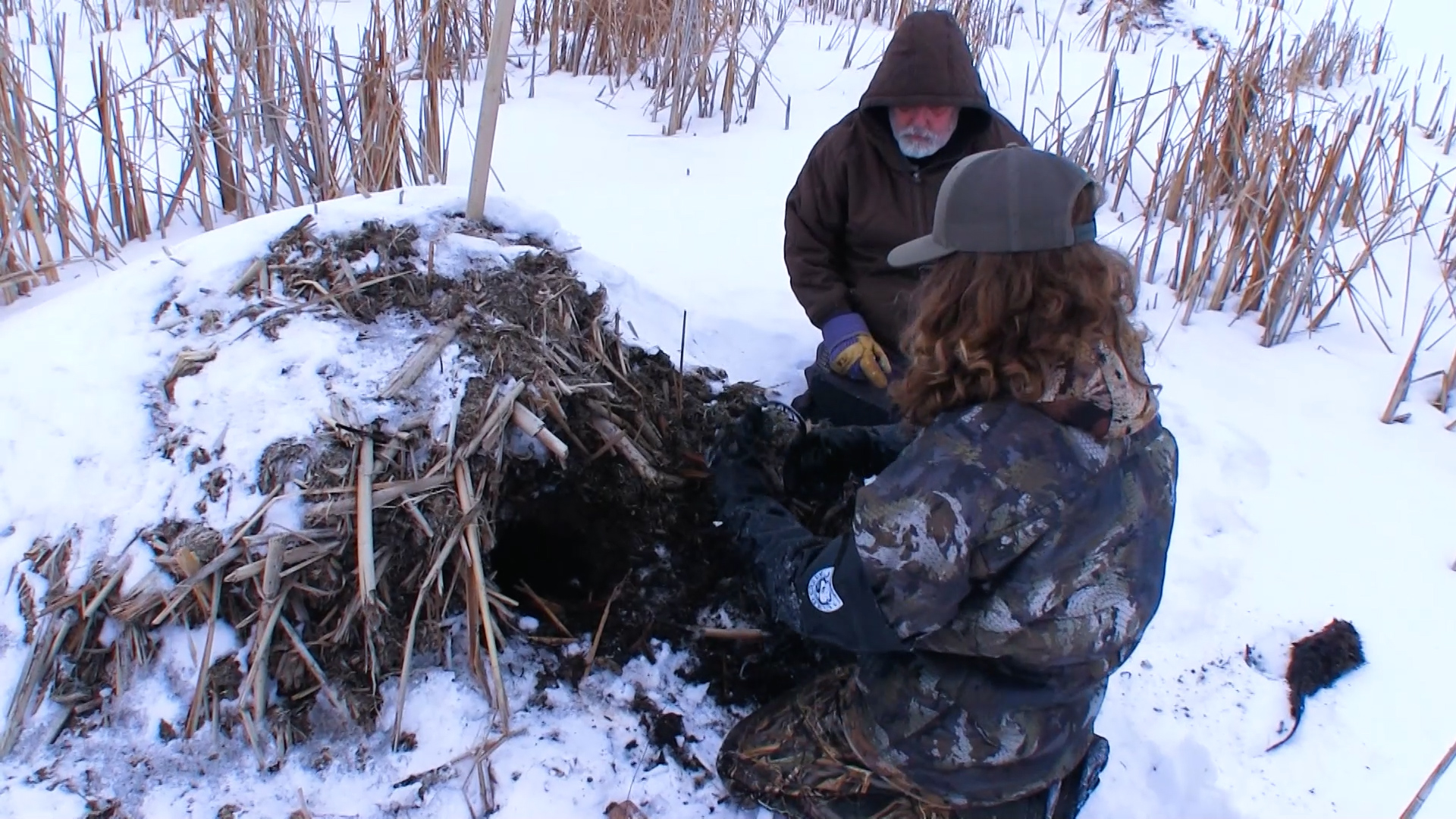 Wiebe Trapline Adventures S4/E14_Gage Imberi Muskrat