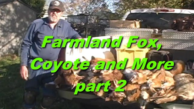 Farmland Fox Coyote and More part 2