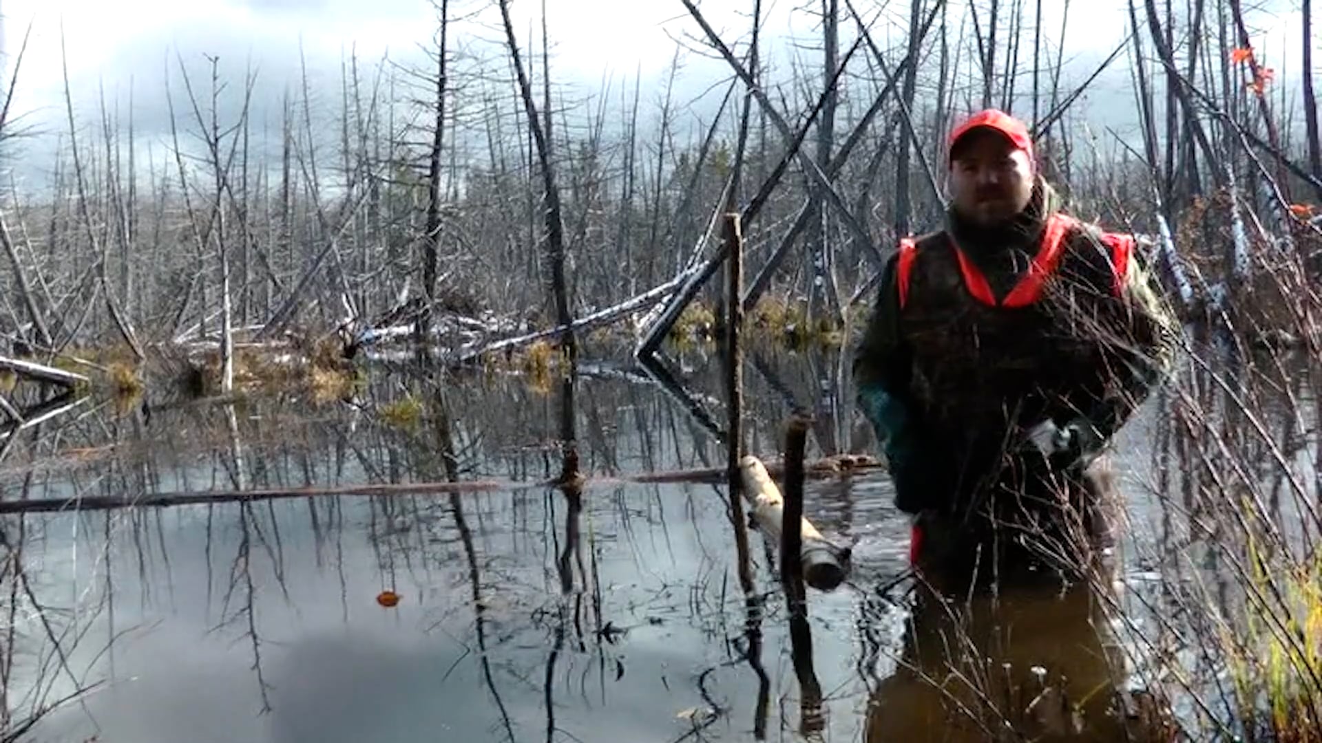 Beaver Castor Set with The Donaghy's from Maine
