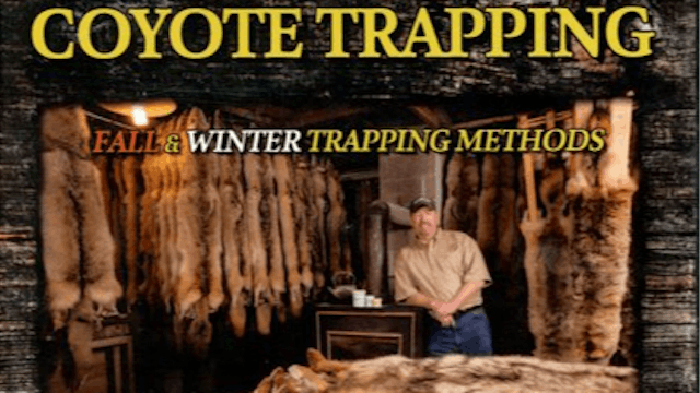 Ed Schneider's ~ Coyote Trapping - Fall & Winter Methods - video 2