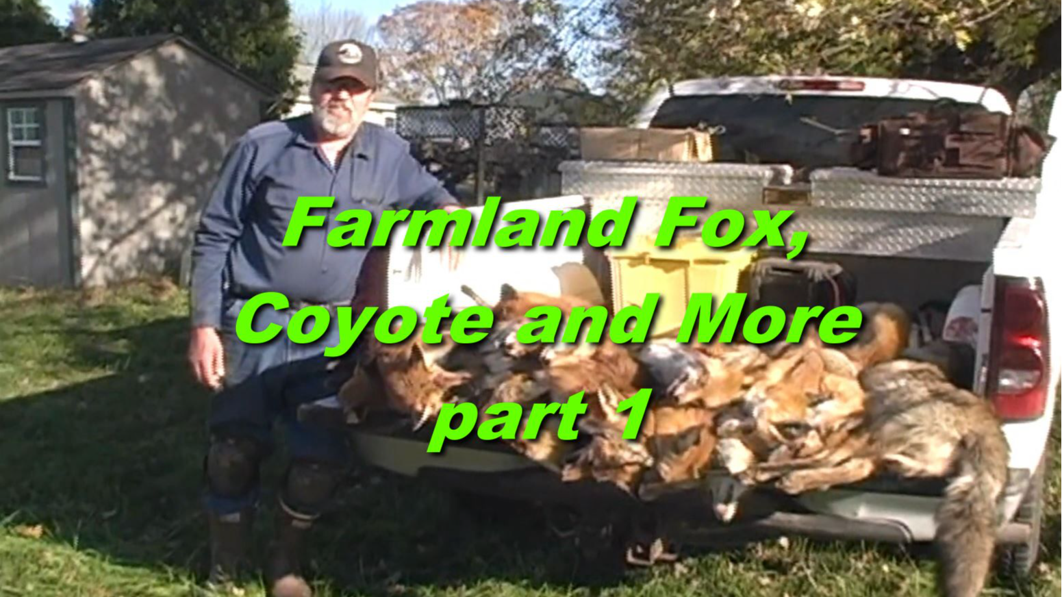Farmland Fox Coyote and More part 1