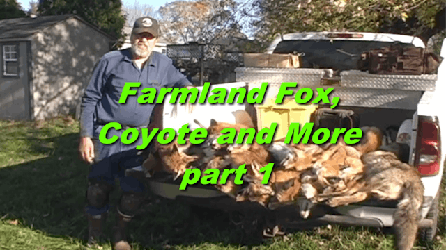 Farmland Fox Coyote and More part 1