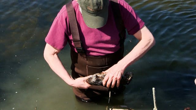 Wiebe Trapline Adventures S2/E4 - Mar...