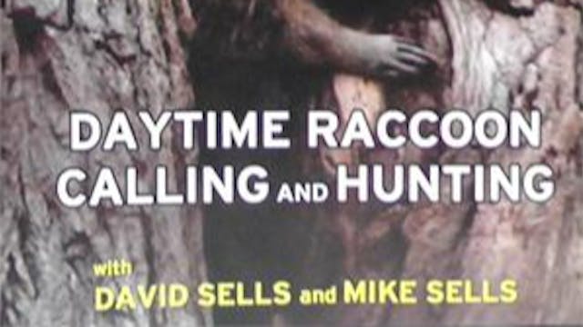 Trailer - Pure Fun: Daytime Raccoon C...